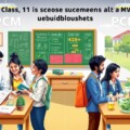 class 11 science stream subjects
